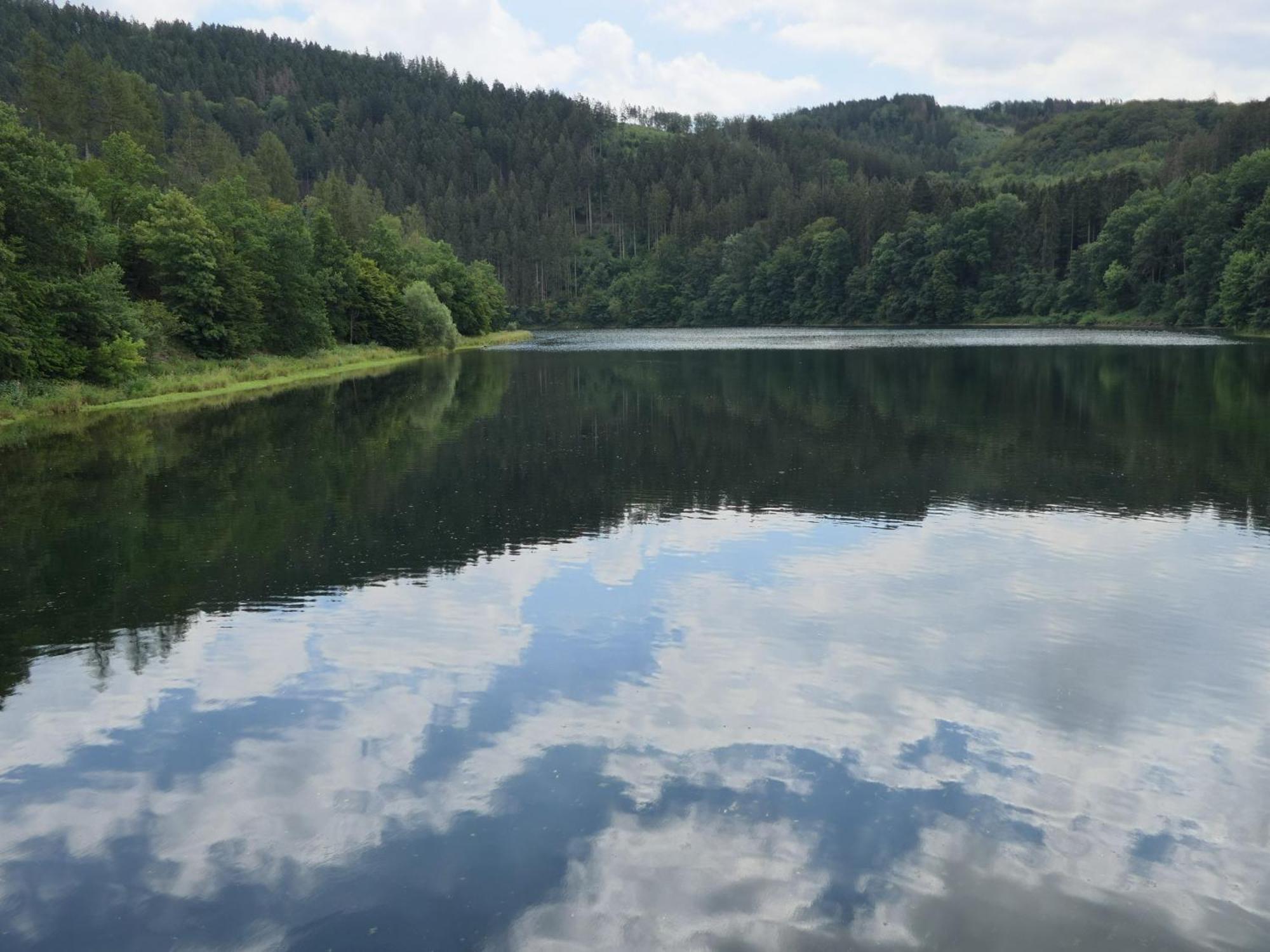 Fewo-Rosenberger-Sauerland Lennestadt Buitenkant foto